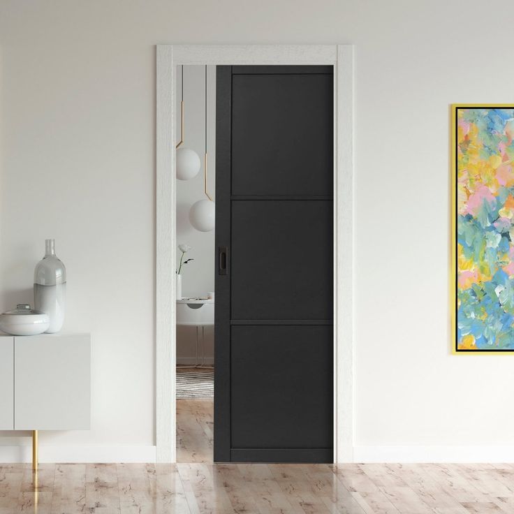 Modern Pocket Doors -- Sliding Doors 04